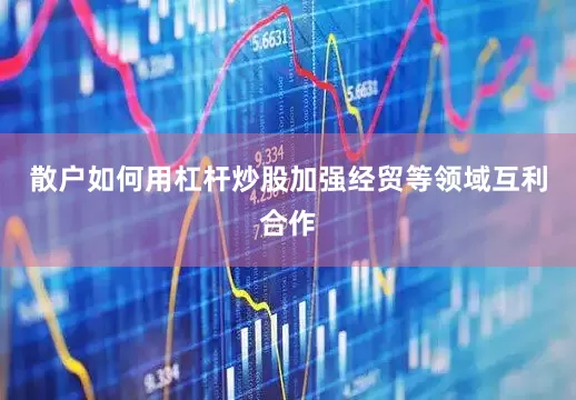 散户如何用杠杆炒股加强经贸等领域互利合作
