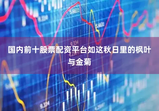 国内前十股票配资平台如这秋日里的枫叶与金菊